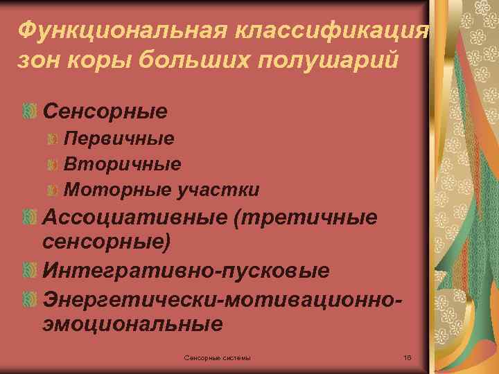 Функциональная классификация зон коры больших полушарий Сенсорные Первичные Вторичные Моторные участки Ассоциативные (третичные сенсорные)