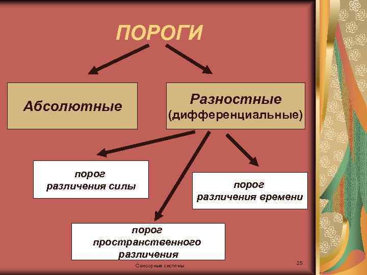 ПОРОГИ Абсолютные Разностные (дифференциальные) порог различения силы порог различения времени порог пространственного различения Сенсорные