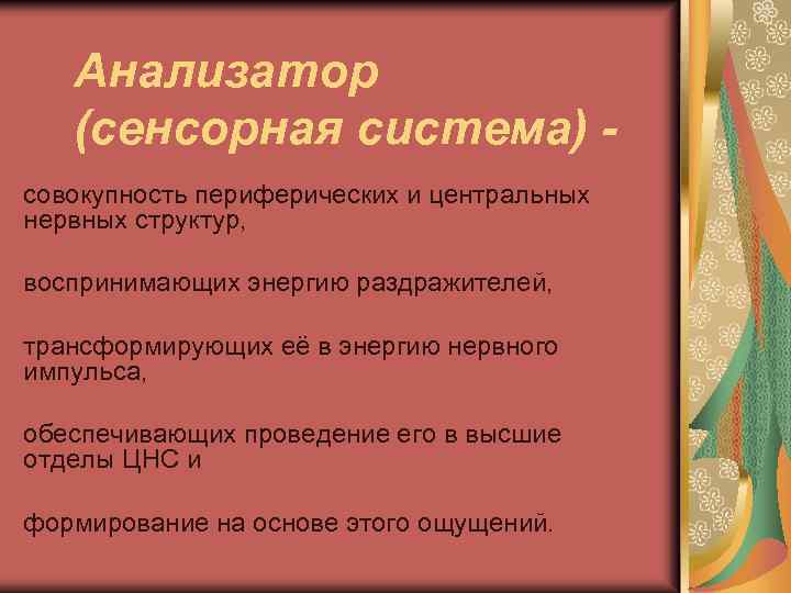 Анализатор (сенсорная система) совокупность периферических и центральных нервных структур, воспринимающих энергию раздражителей, трансформирующих её