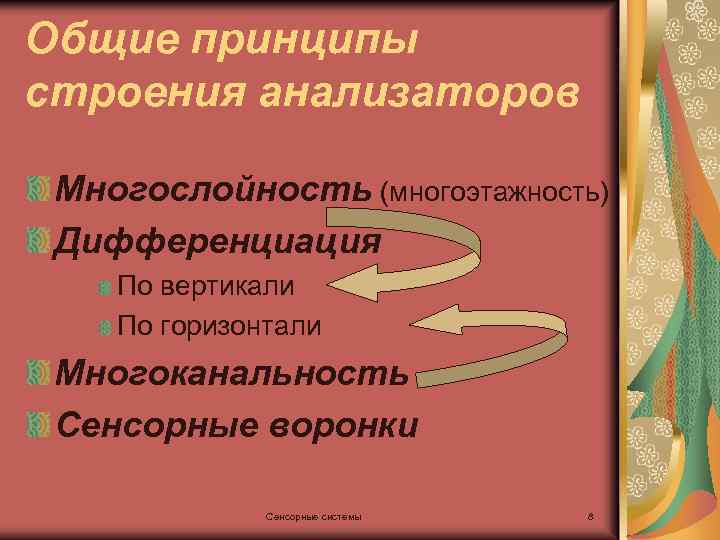 Общие принципы строения анализаторов Многослойность (многоэтажность) Дифференциация По вертикали По горизонтали Многоканальность Сенсорные воронки