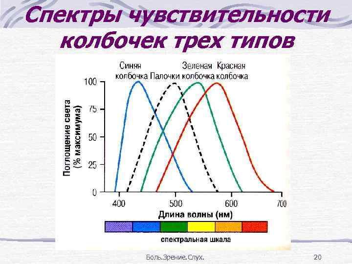 Спектральная чувствительность