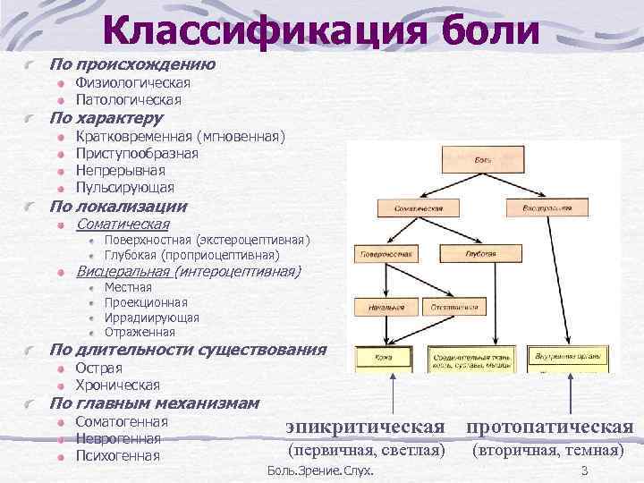 Схему структурной организации восприятия первичной локализованной боли эпикритической