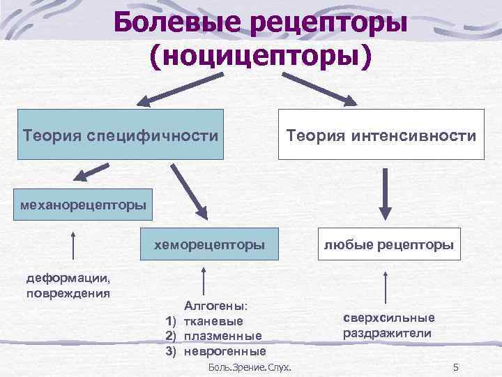 Болевые рецепторы