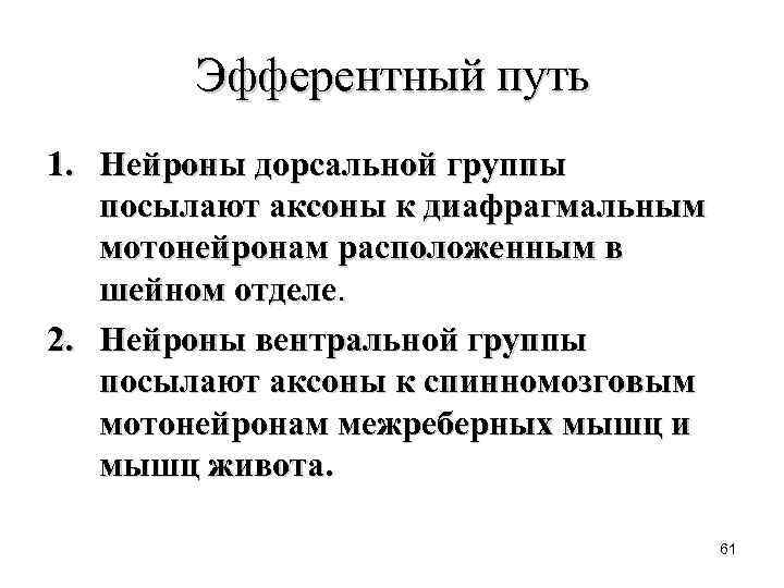 Эфферентный путь 1. Нейроны дорсальной группы посылают аксоны к диафрагмальным мотонейронам расположенным в шейном