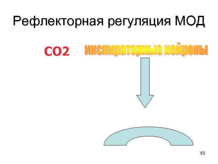 Рефлекторная регуляция МОД СО 2 63 