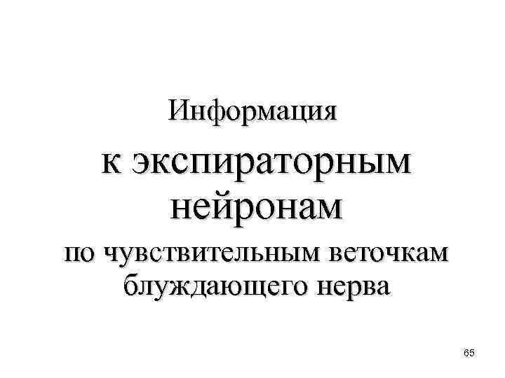 Информация к экспираторным нейронам по чувствительным веточкам блуждающего нерва 65 