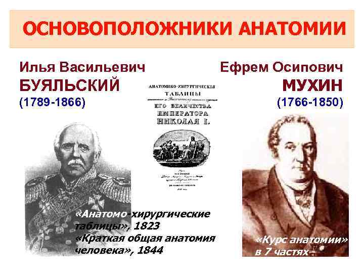 ОСНОВОПОЛОЖНИКИ АНАТОМИИ Илья Васильевич БУЯЛЬСКИЙ (1789 -1866) «Анатомо-хирургические таблицы» , 1823 «Краткая общая анатомия