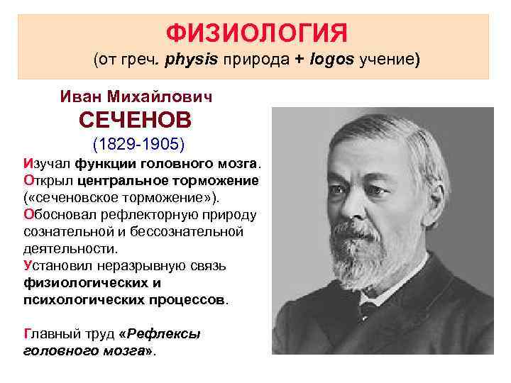 ФИЗИОЛОГИЯ (от греч. physis природа + logos учение) Иван Михайлович СЕЧЕНОВ (1829 -1905) Изучал