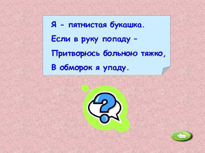 Я - пятнистая букашка. Если в руку попаду – Притворюсь больною тяжко, В обморок