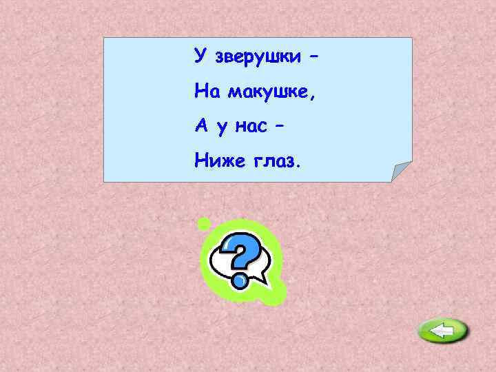 У зверушки – На макушке, А у нас – Ниже глаз. Уши. 