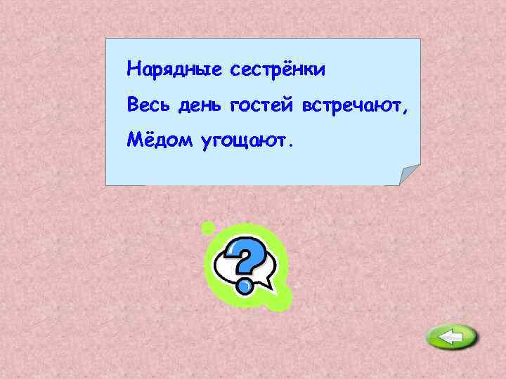 Нарядные сестрёнки Весь день гостей встречают, Мёдом угощают. Цветы. 