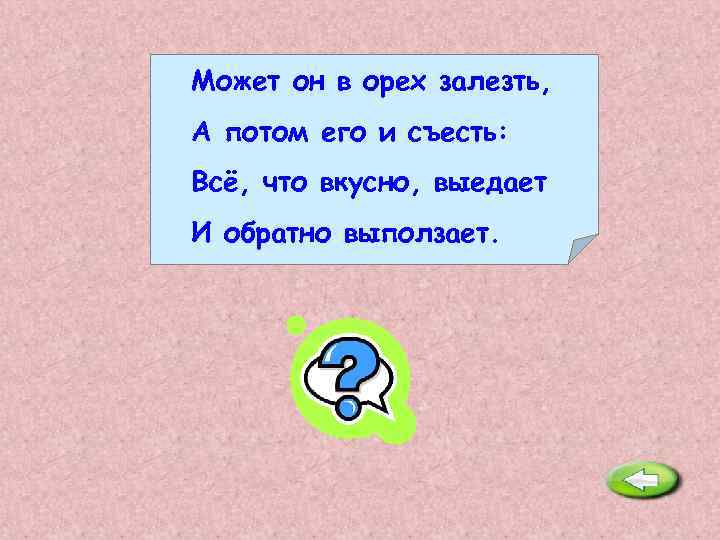 Может он в орех залезть, А потом его и съесть: Всё, что вкусно, выедает