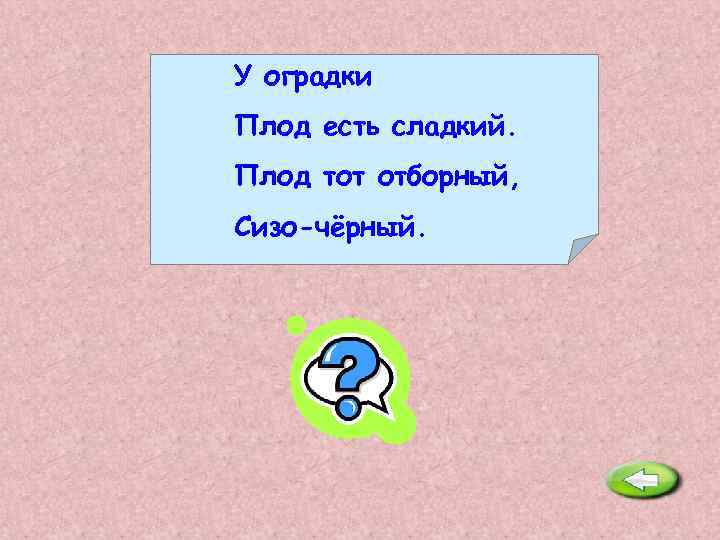 У оградки Плод есть сладкий. Плод тот отборный, Сизо-чёрный. Жимолость. 
