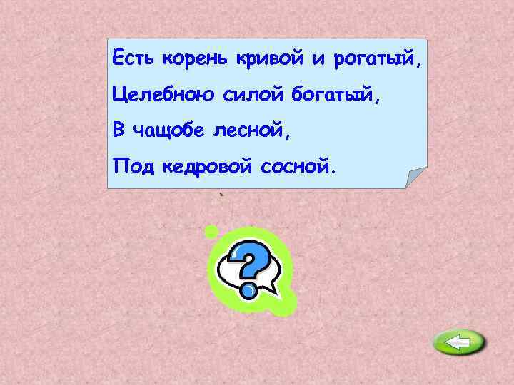 Есть корень кривой и рогатый, Целебною силой богатый, В чащобе лесной, Под кедровой сосной.