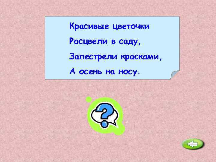 Красивые цветочки Расцвели в саду, Запестрели красками, А осень на носу. Астры. 
