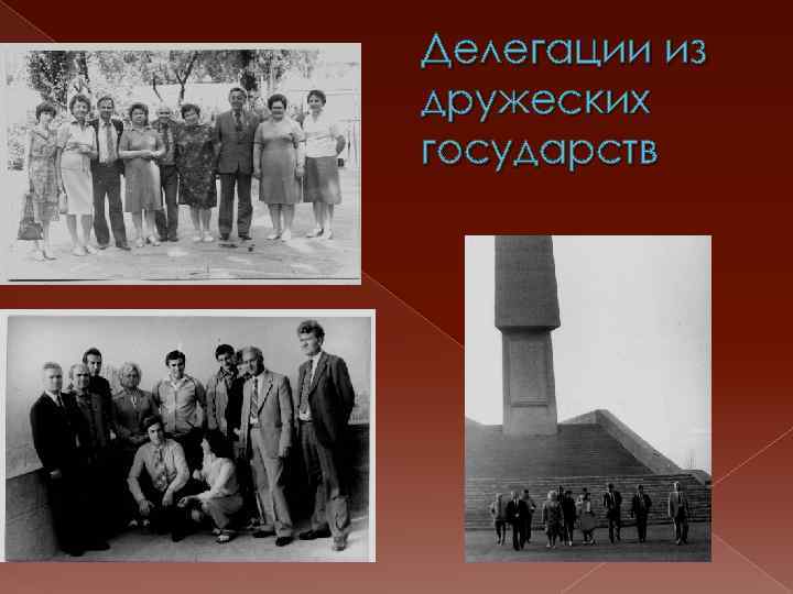 Делегации из дружеских государств 