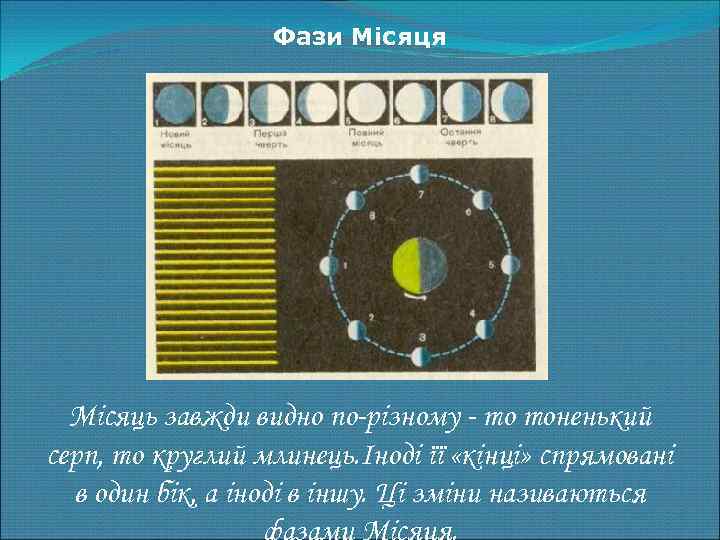 Фази Місяця Місяць завжди видно по-різному - то тоненький серп, то круглий млинець. Іноді