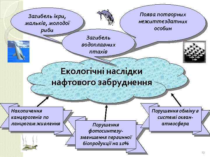 Поява потворних нежиттєздатних особин Загибель ікри, мальків, молодої риби Загибель водоплавних птахів Екологічні наслідки