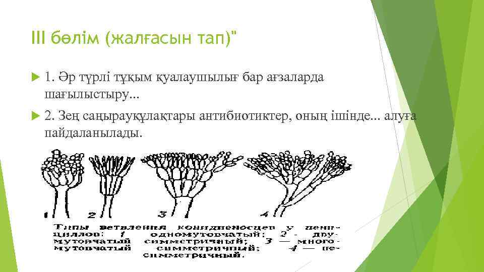 III бөлім (жалғасын тап)" 1. Әр түрлі тұқым қуалаушылығ бар ағзаларда шағылыстыру. . .