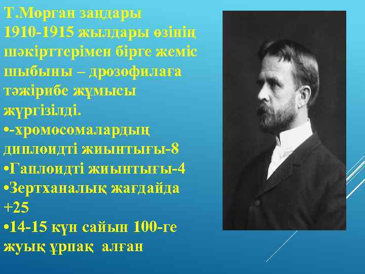 Т. Морган заңдары 1910 -1915 жылдары өзінің шәкірттерімен бірге жеміс шыбыны – дрозофилаға тәжірибе