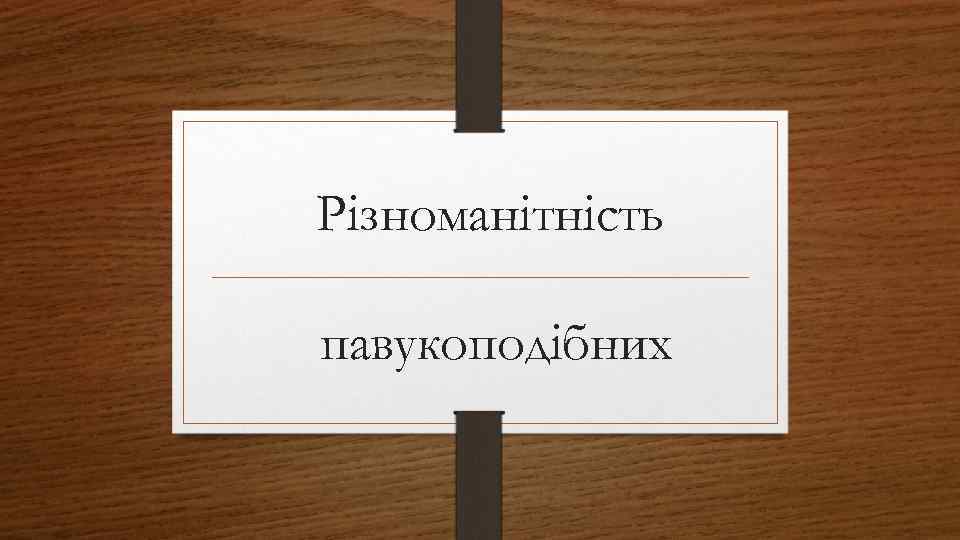 Різноманітність павукоподібних 