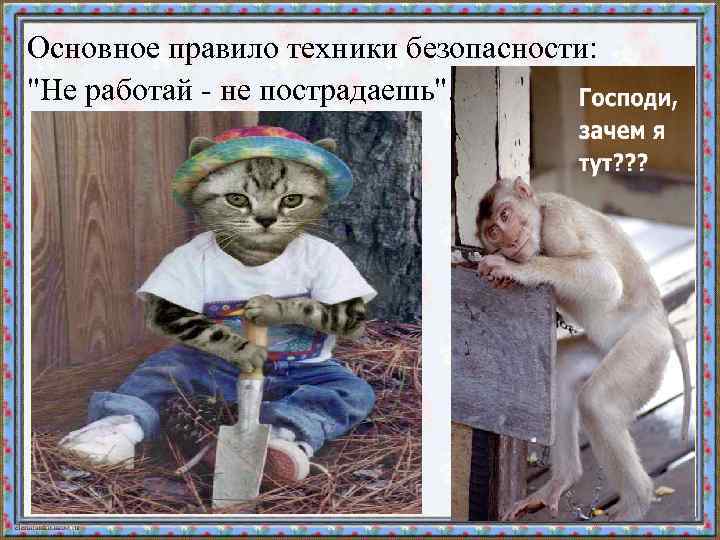 Основное правило техники безопасности: 