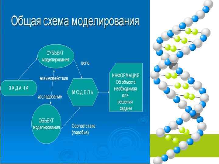 Исследовательский проект в школе