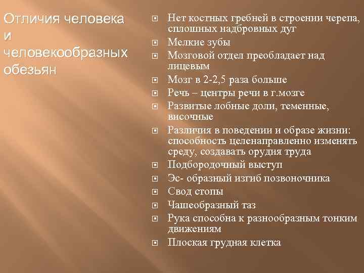 Что отличает человекообразную обезьяну от человека общий план строения уровень обмена веществ