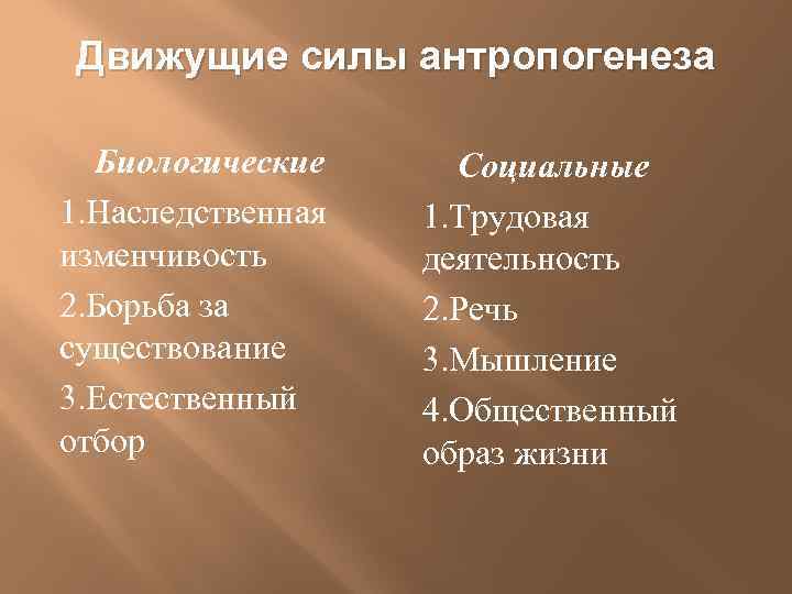 Движущие силы антропогенеза Биологические 1. Наследственная изменчивость 2. Борьба за существование 3. Естественный отбор