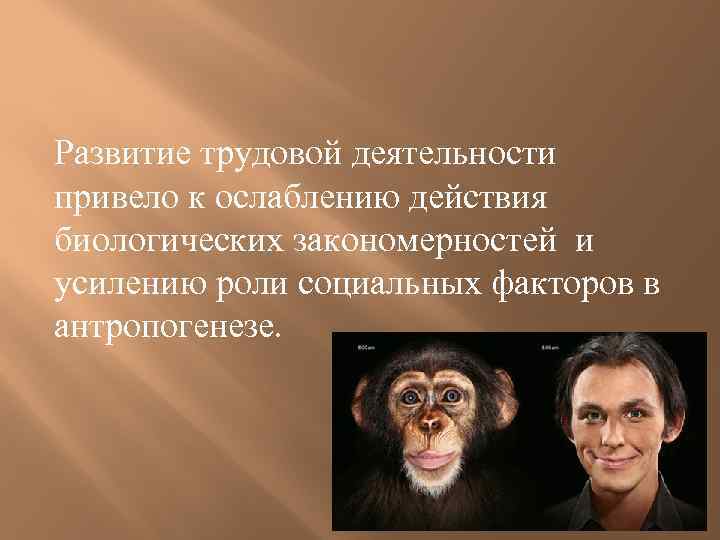 Развитие трудовой деятельности привело к ослаблению действия биологических закономерностей и усилению роли социальных факторов