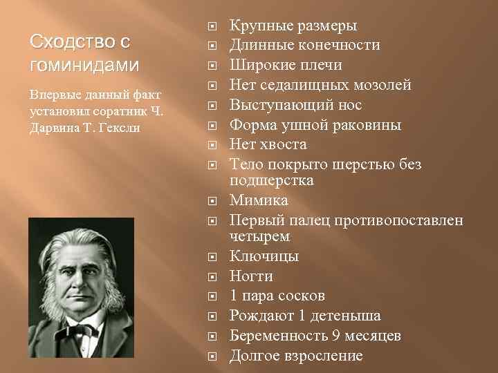 Сходство с гоминидами Впервые данный факт установил соратник Ч. Дарвина Т. Гексли Крупные размеры