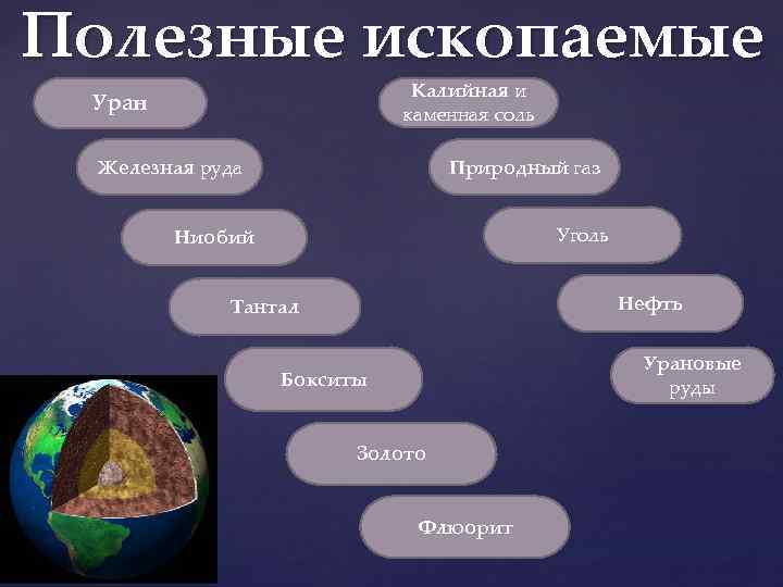 Полезные ископаемые Калийная и каменная соль Уран Железная руда Природный газ Уголь Ниобий Нефть