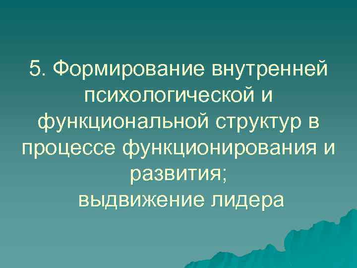 5. Формирование внутренней психологической и функциональной структур в процессе функционирования и развития; выдвижение лидера