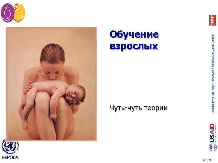 Чуть-чуть теории Эффективная перинатальная помощь и уход (ЭПУ) Обучение взрослых 2 FT-9 
