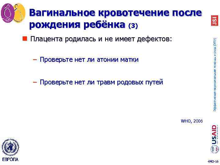 Вагинальное кровотечение после рождения ребёнка (3) Эффективная перинатальная помощь и уход (ЭПУ) n Плацента