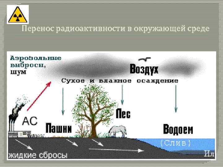 Перенос радиоактивности в окружающей среде 