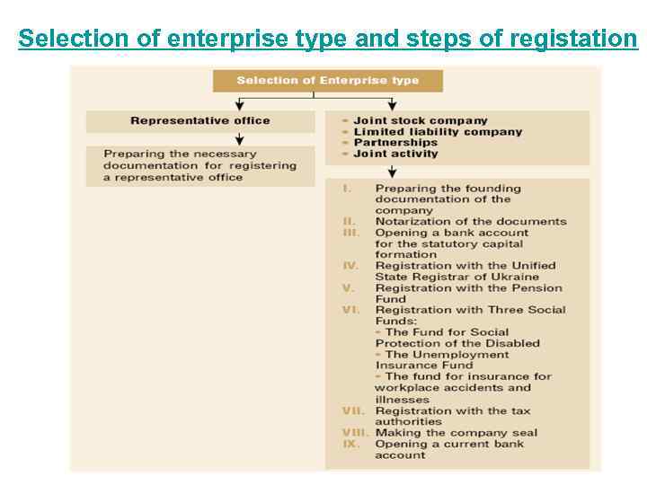  Selection of enterprise type and steps of registation 