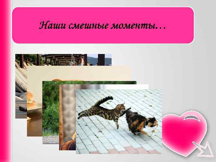 Наши смешные моменты… 