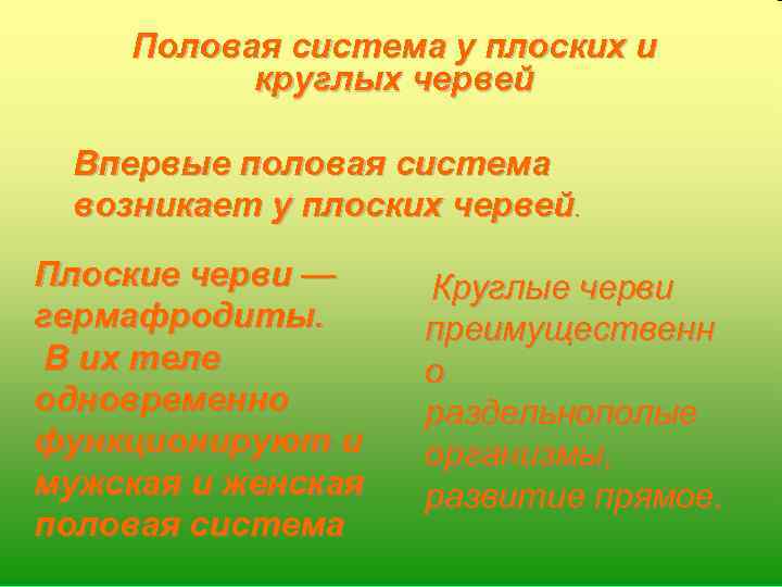 Половая система у плоских и круглых червей Впервые половая система возникает у плоских червей.