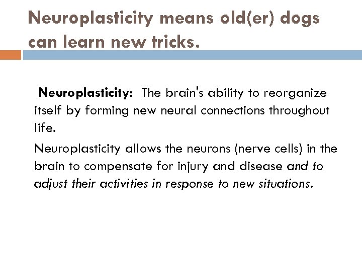 Neuroplasticity means old(er) dogs can learn new tricks. Neuroplasticity: The brain's ability to reorganize