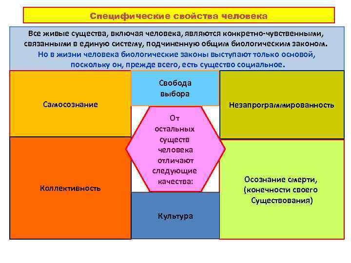 Специфические свойства человека Все живые существа, включая человека, являются конкретно-чувственными, связанными в единую систему,