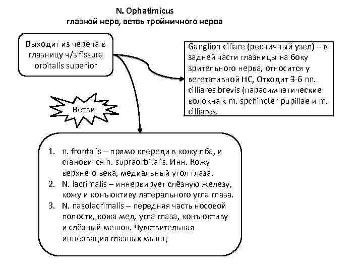N. Ophatlmicus глазной нерв, ветвь тройничного нерва Выходит из черепа в глазницу ч/з fissura