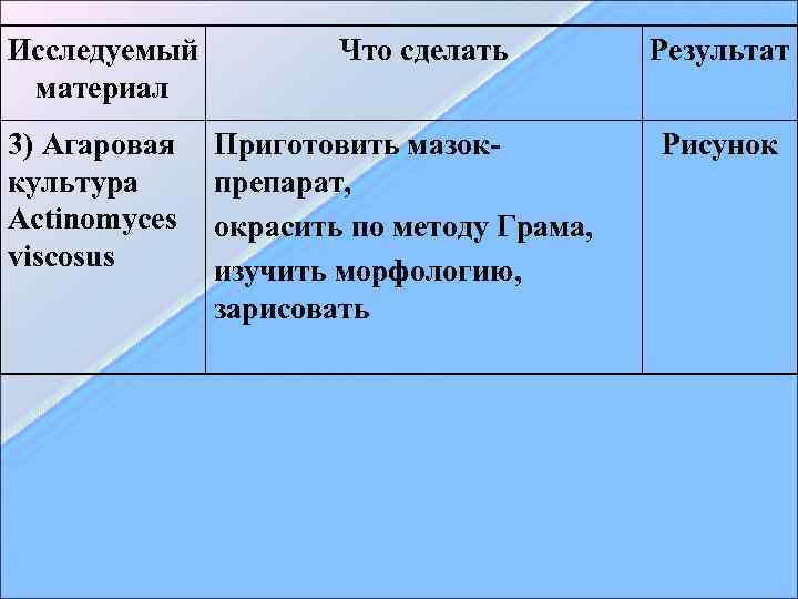 Исследуемый материал 3) Агаровая культура Actinomyces viscosus Что сделать Приготовить мазокпрепарат, окрасить по методу