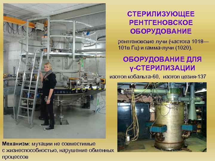 СТЕРИЛИЗУЮЩЕЕ РЕНТГЕНОВСКОЕ ОБОРУДОВАНИЕ рентгеновские лучи (частота 1018— 101 в Гц) и гамма-лучи (1020). ОБОРУДОВАНИЕ