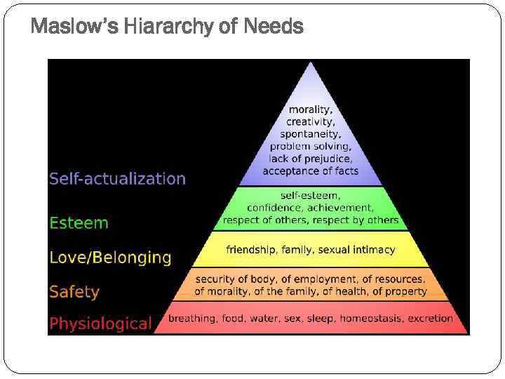 Maslow’s Hiararchy of Needs 