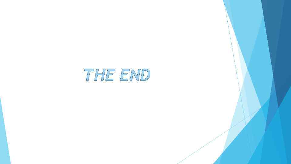 THE END 