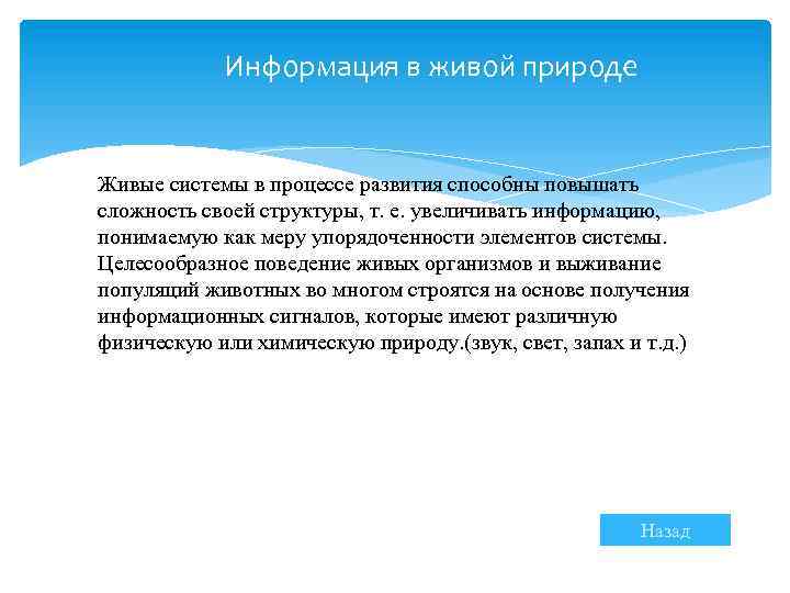 Информация в живой природе Живые системы в процессе развития способны повышать сложность своей структуры,
