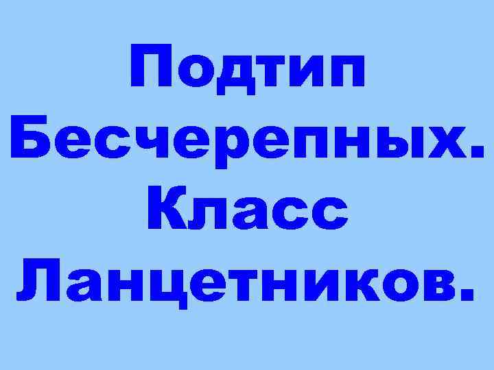 Подтип Бесчерепных. Класс Ланцетников. 