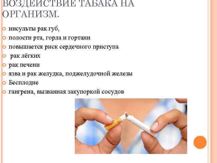 ВОЗДЕЙСТВИЕ ТАБАКА НА ОРГАНИЗМ. инсульты рак губ, полости рта, горла и гортани повышается риск