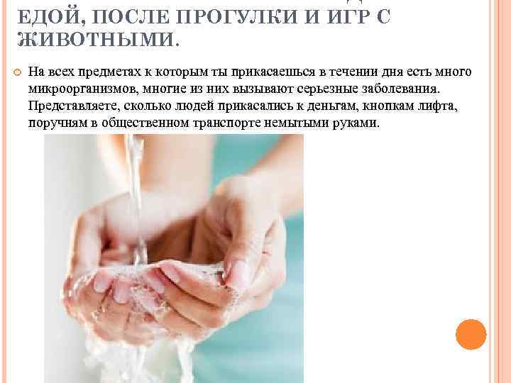 МОЙТЕ РУКИ С МЫЛОМ ПЕРЕД ЕДОЙ, ПОСЛЕ ПРОГУЛКИ И ИГР С ЖИВОТНЫМИ. На всех